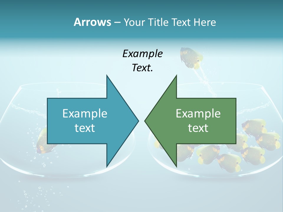 Pet Water Big Offer PowerPoint Template