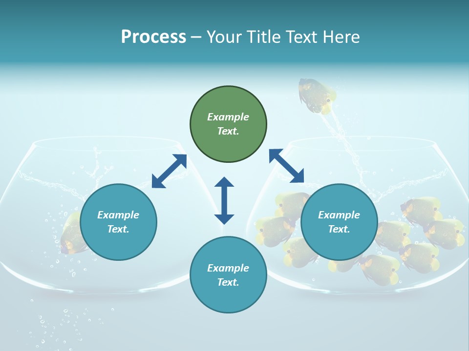 Pet Water Big Offer PowerPoint Template