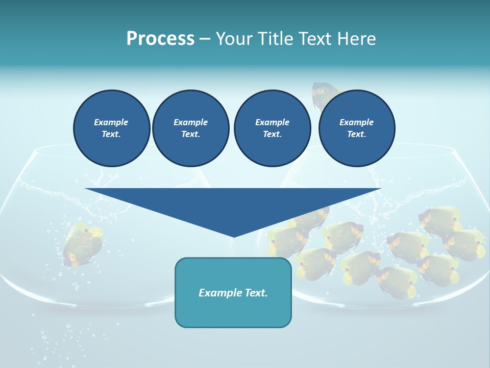 Pet Water Big Offer PowerPoint Template