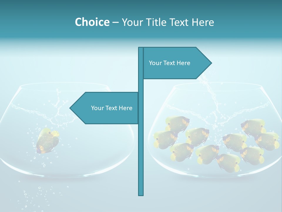 Pet Water Big Offer PowerPoint Template