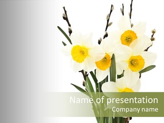 Grass Natural Spring PowerPoint Template