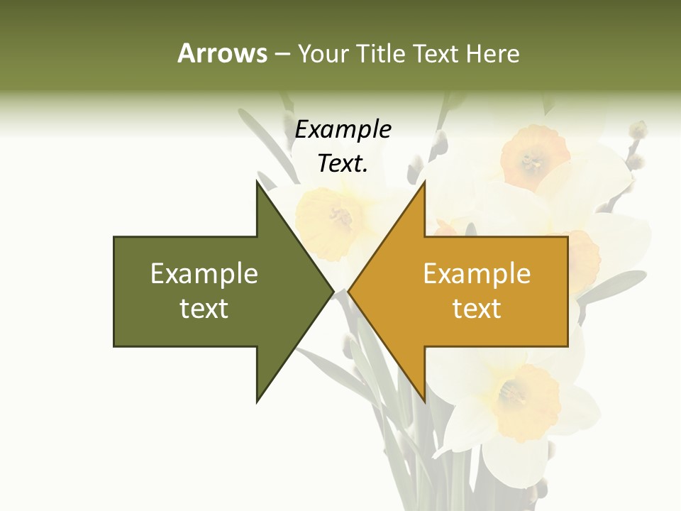 Grass Natural Spring PowerPoint Template