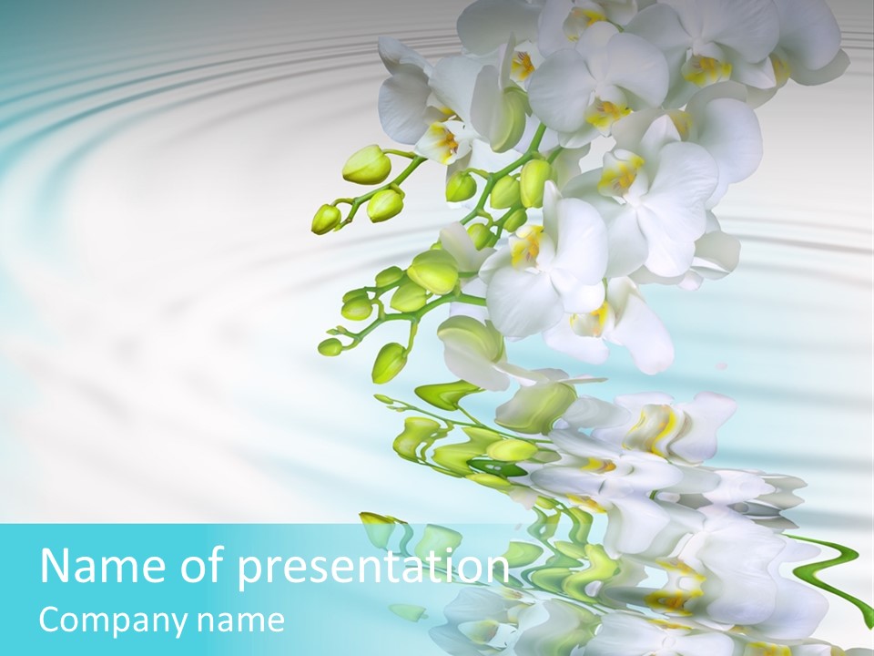 Botany Floral Decorative PowerPoint Template