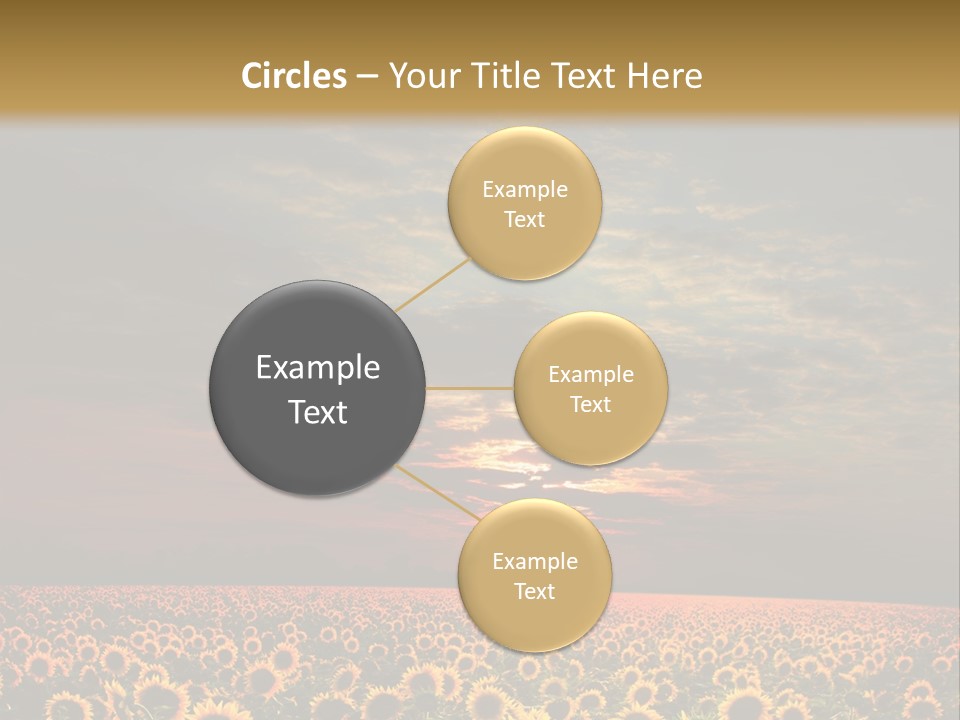 Light Dramatic Leaf PowerPoint Template