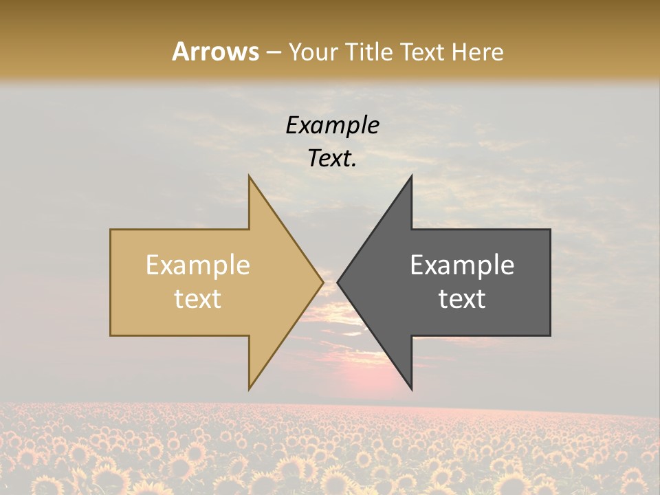 Light Dramatic Leaf PowerPoint Template