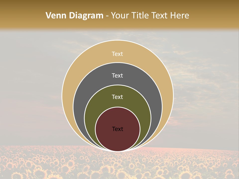 Light Dramatic Leaf PowerPoint Template