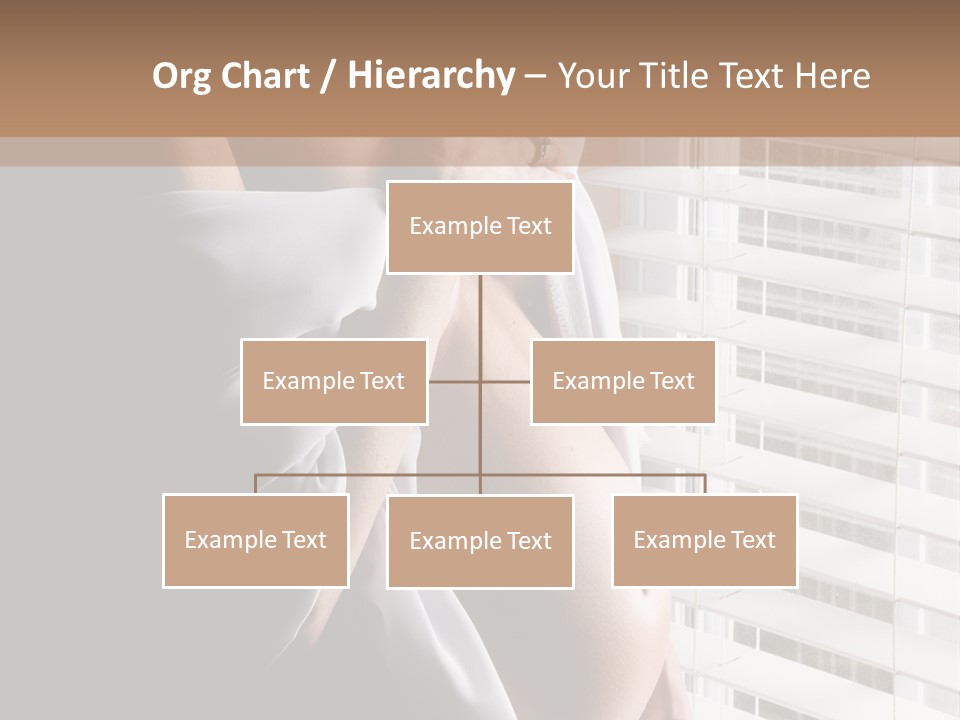 Abdomen  Expecting PowerPoint Template