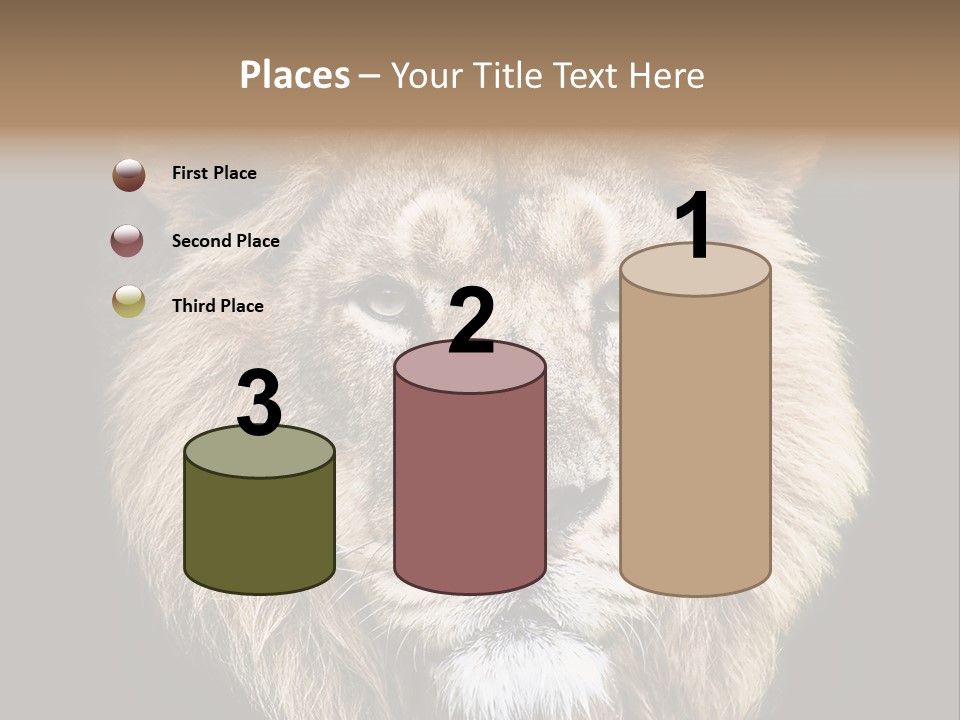 Indian Portrait Asian PowerPoint Template