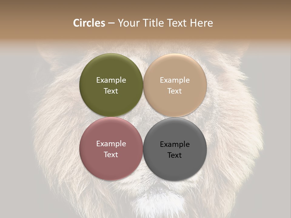 Indian Portrait Asian PowerPoint Template