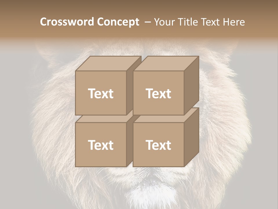 Indian Portrait Asian PowerPoint Template
