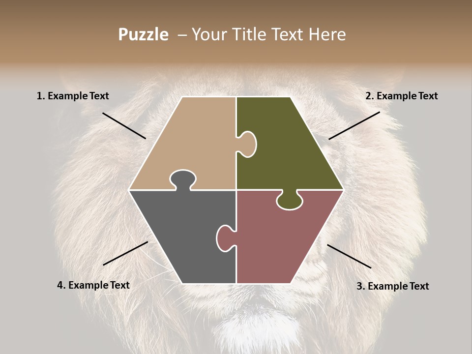 Indian Portrait Asian PowerPoint Template