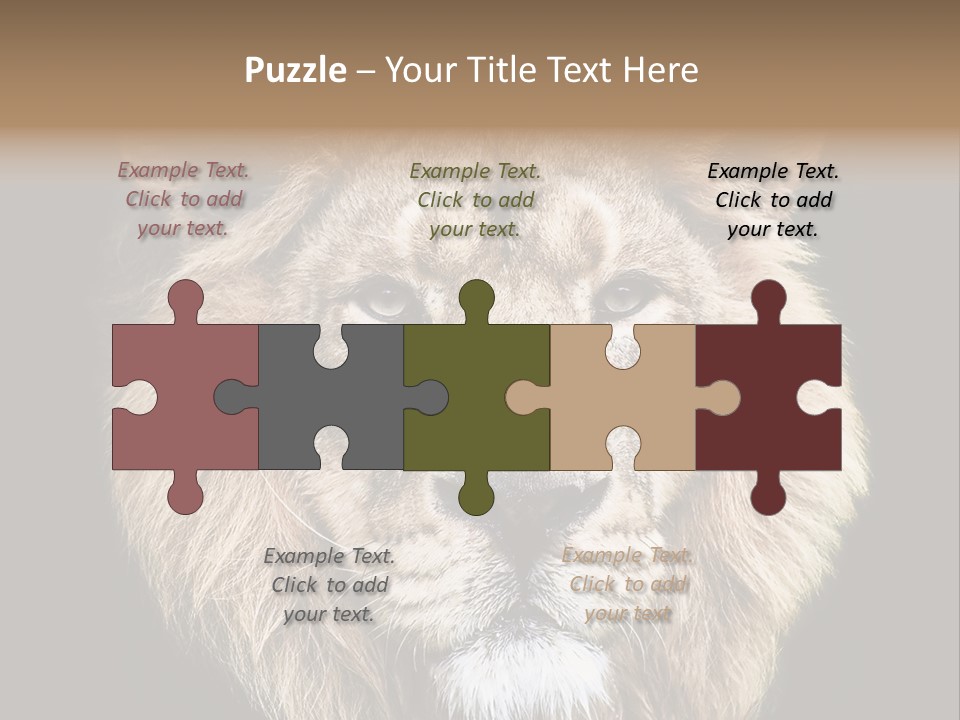 Indian Portrait Asian PowerPoint Template