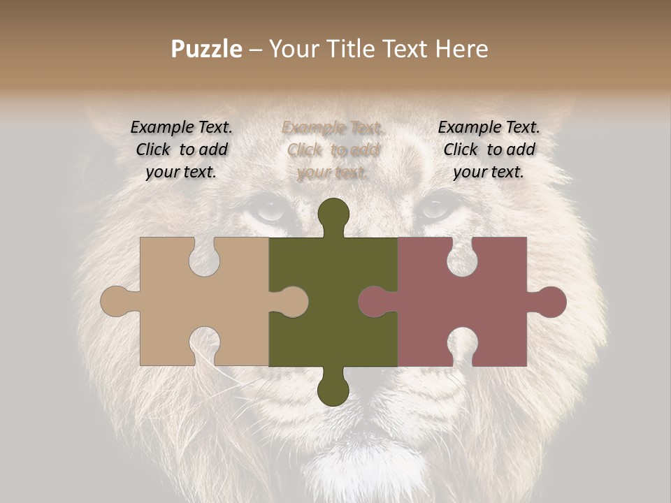 Indian Portrait Asian PowerPoint Template