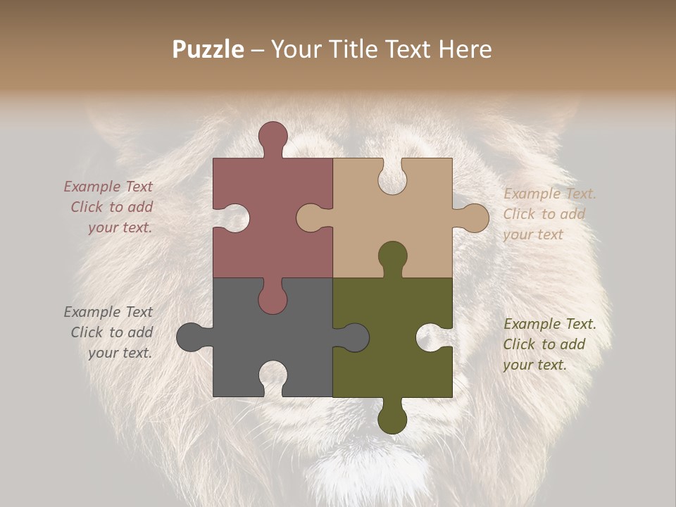 Indian Portrait Asian PowerPoint Template