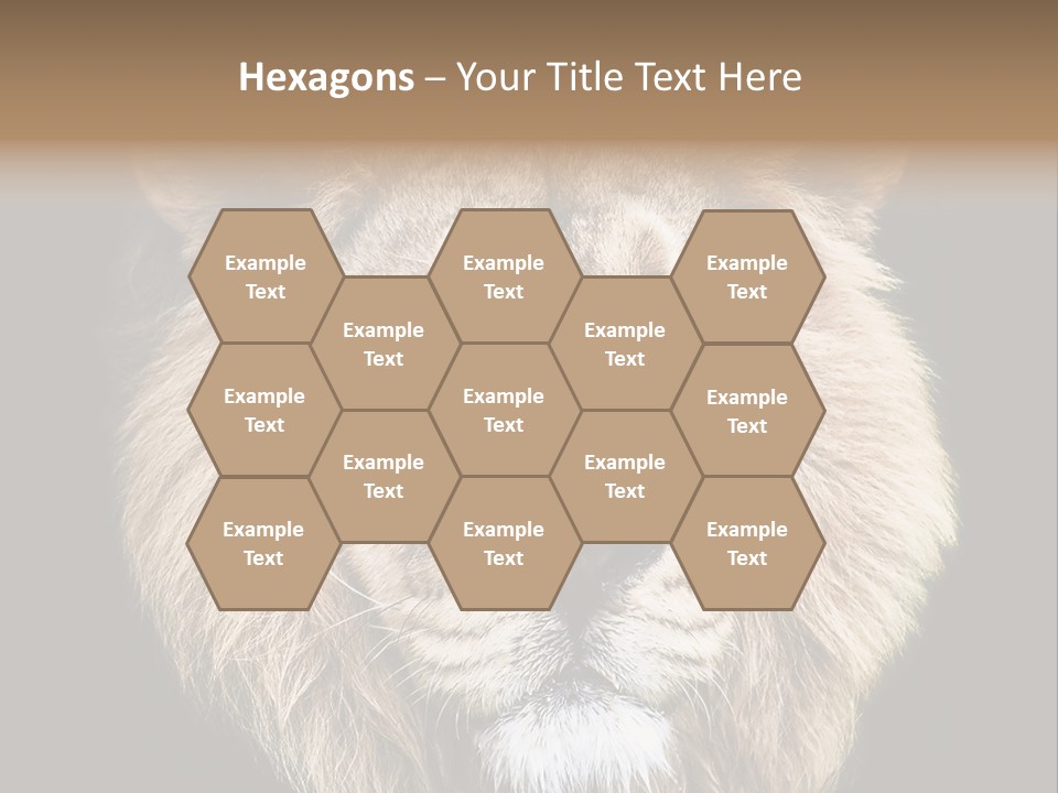 Indian Portrait Asian PowerPoint Template