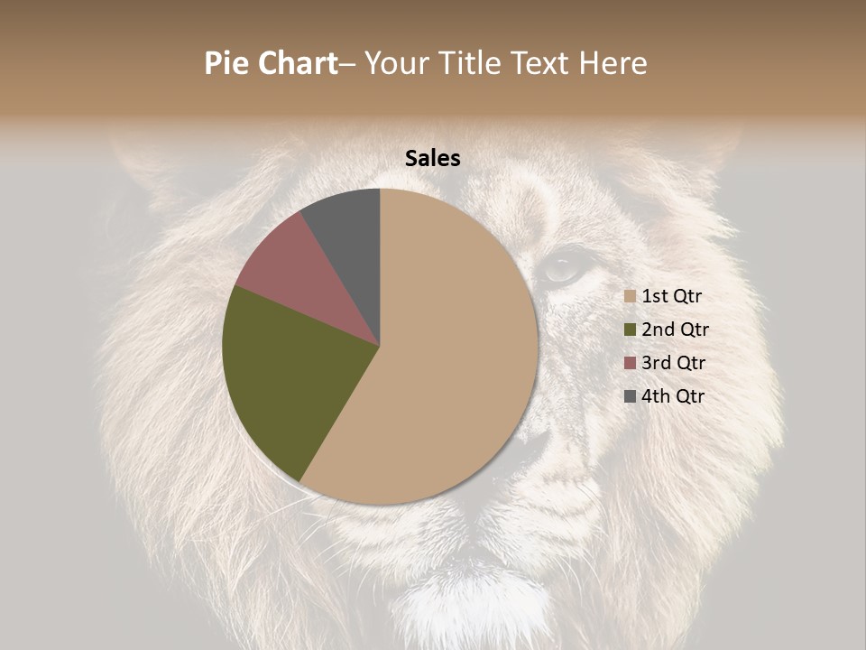 Indian Portrait Asian PowerPoint Template
