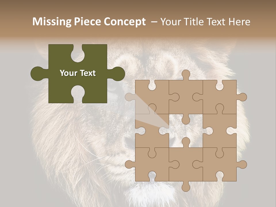 Indian Portrait Asian PowerPoint Template