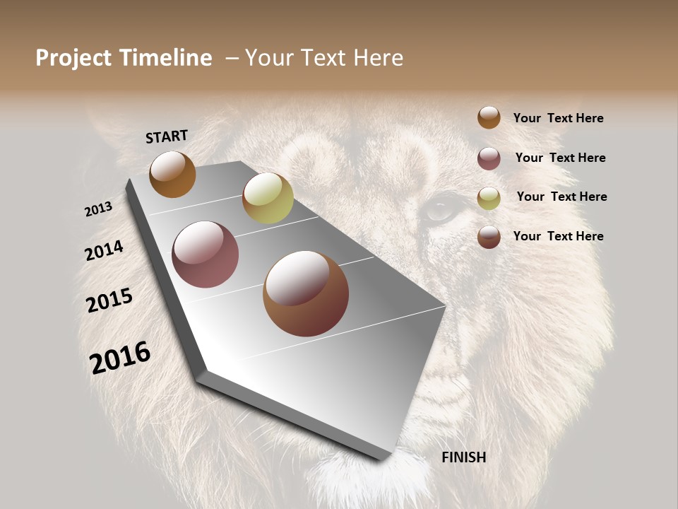Indian Portrait Asian PowerPoint Template