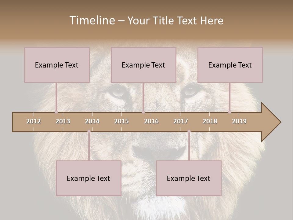 Indian Portrait Asian PowerPoint Template