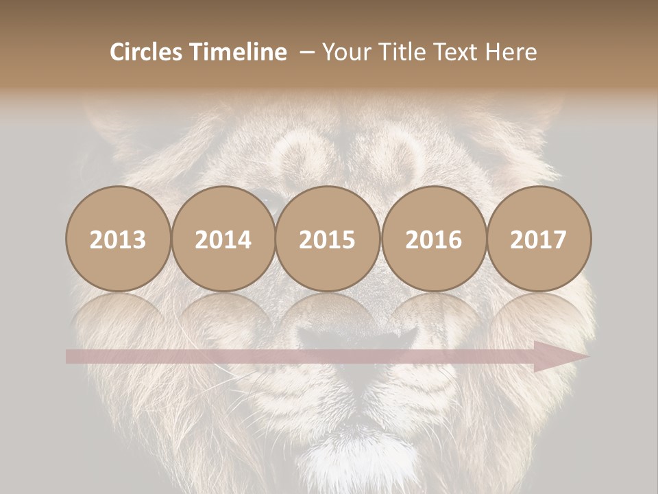 Indian Portrait Asian PowerPoint Template