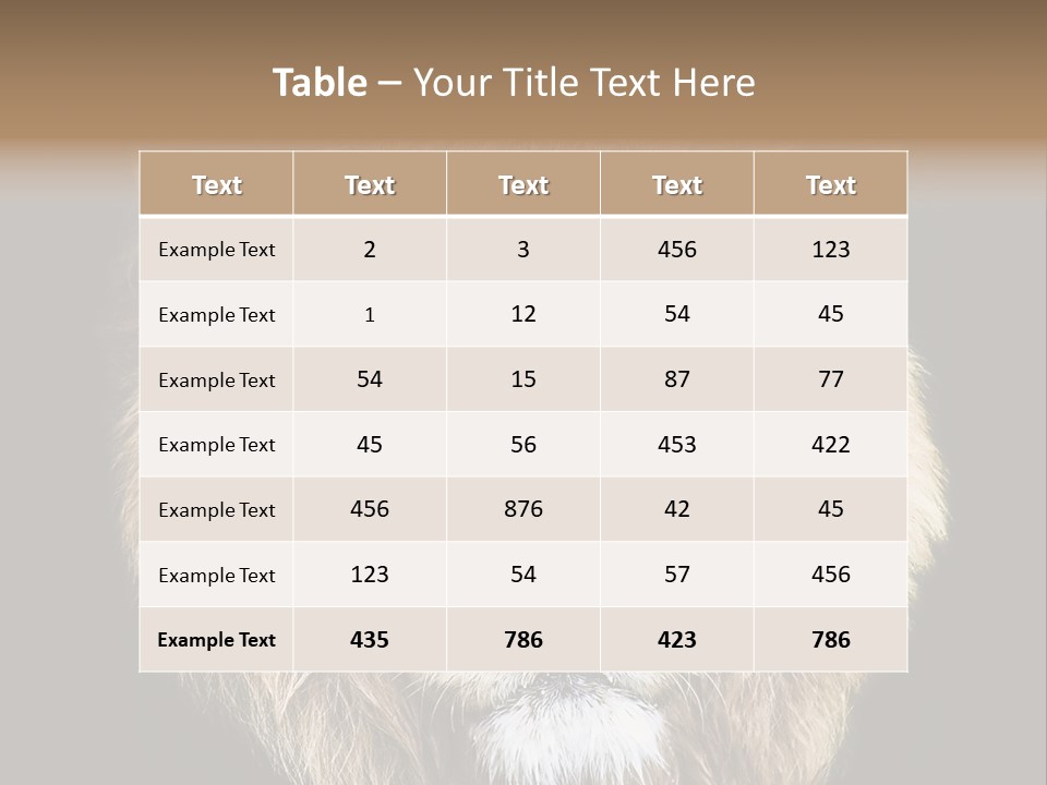 Indian Portrait Asian PowerPoint Template