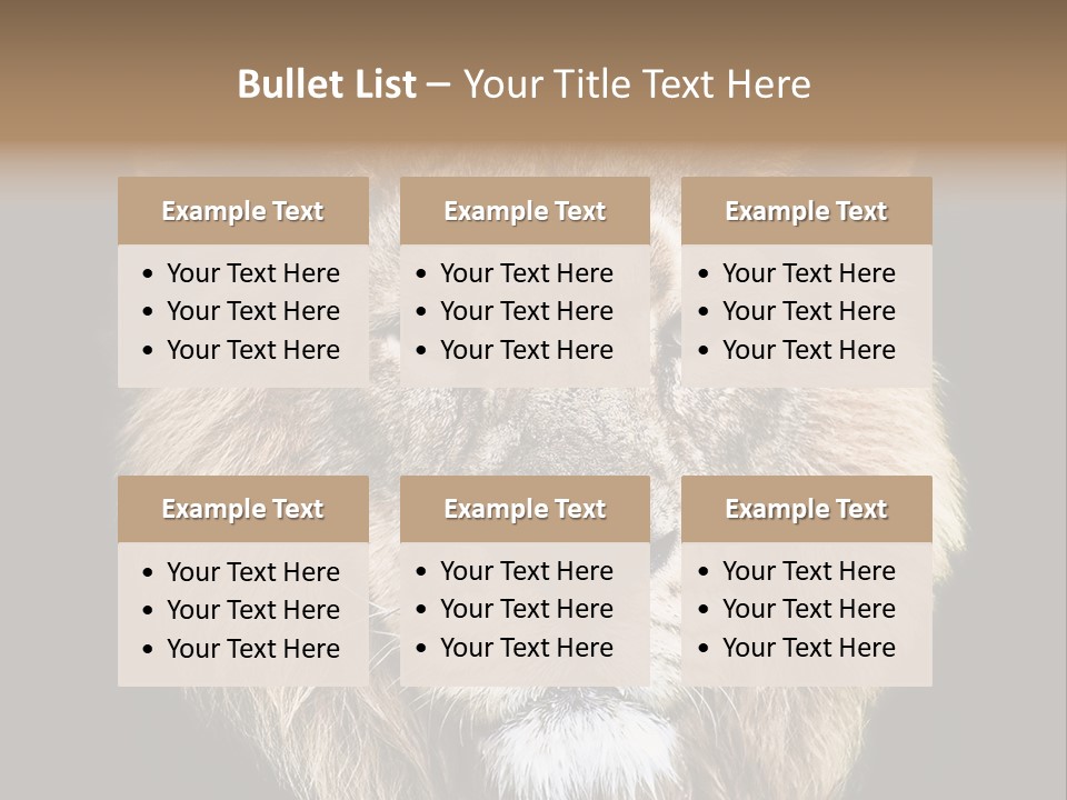 Indian Portrait Asian PowerPoint Template