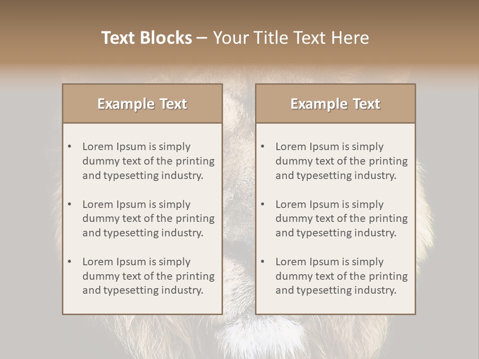 Indian Portrait Asian PowerPoint Template