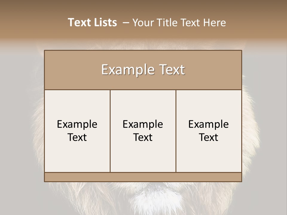 Indian Portrait Asian PowerPoint Template