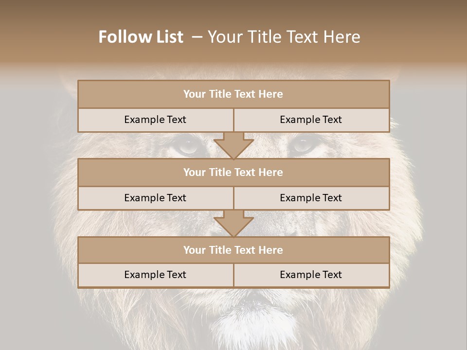 Indian Portrait Asian PowerPoint Template