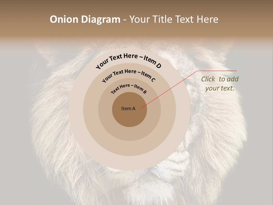 Indian Portrait Asian PowerPoint Template