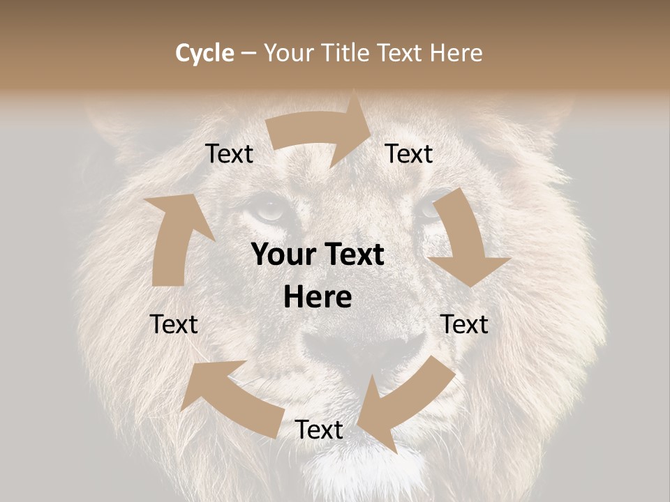 Indian Portrait Asian PowerPoint Template