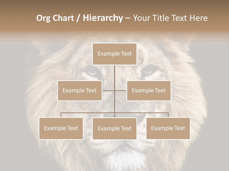 Indian Portrait Asian PowerPoint Template