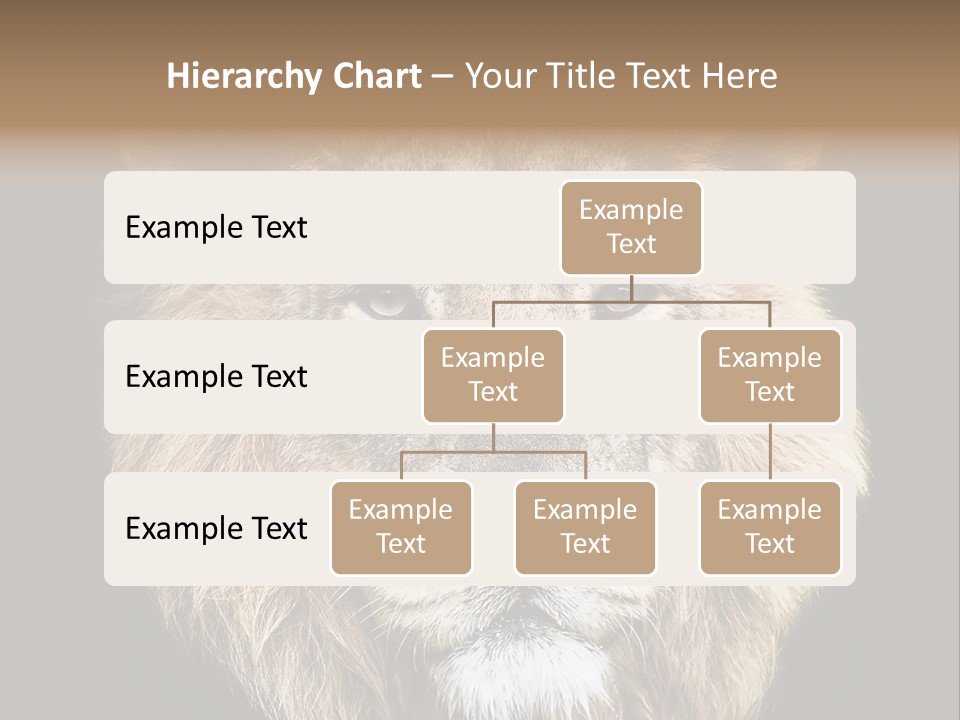 Indian Portrait Asian PowerPoint Template