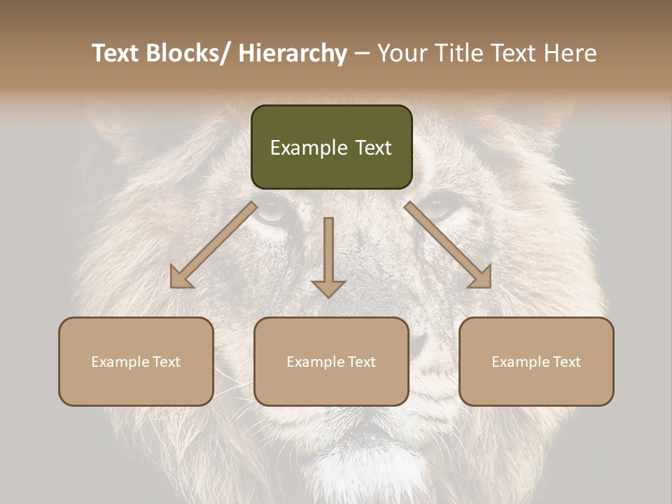 Indian Portrait Asian PowerPoint Template