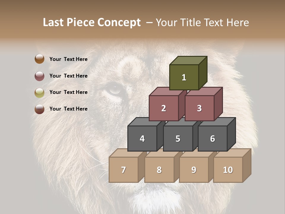 Indian Portrait Asian PowerPoint Template