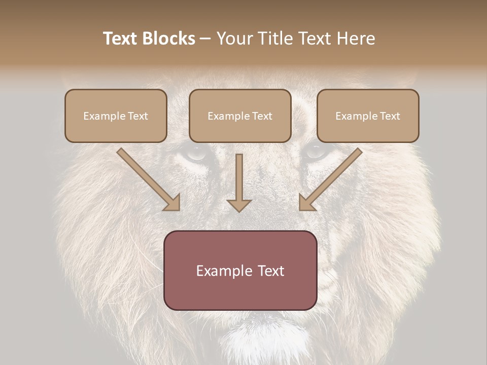 Indian Portrait Asian PowerPoint Template