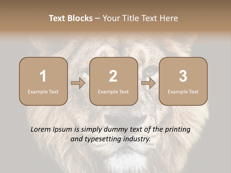 Indian Portrait Asian PowerPoint Template