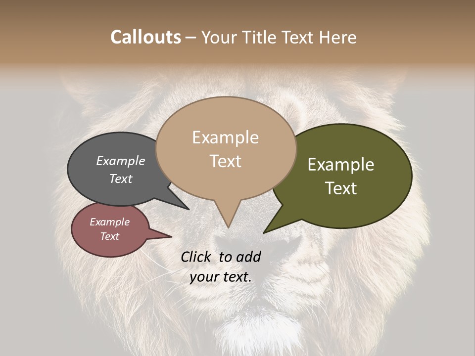 Indian Portrait Asian PowerPoint Template