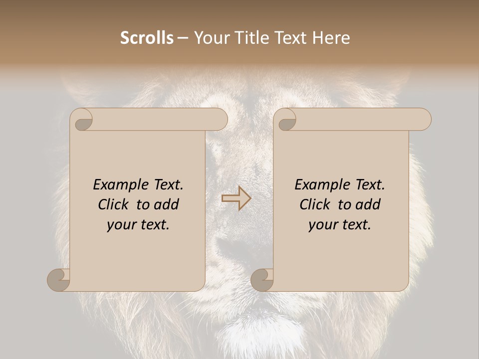 Indian Portrait Asian PowerPoint Template