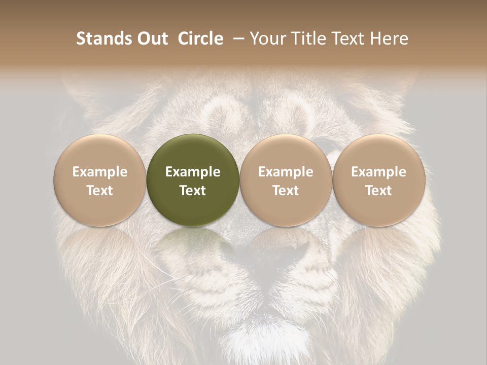 Indian Portrait Asian PowerPoint Template