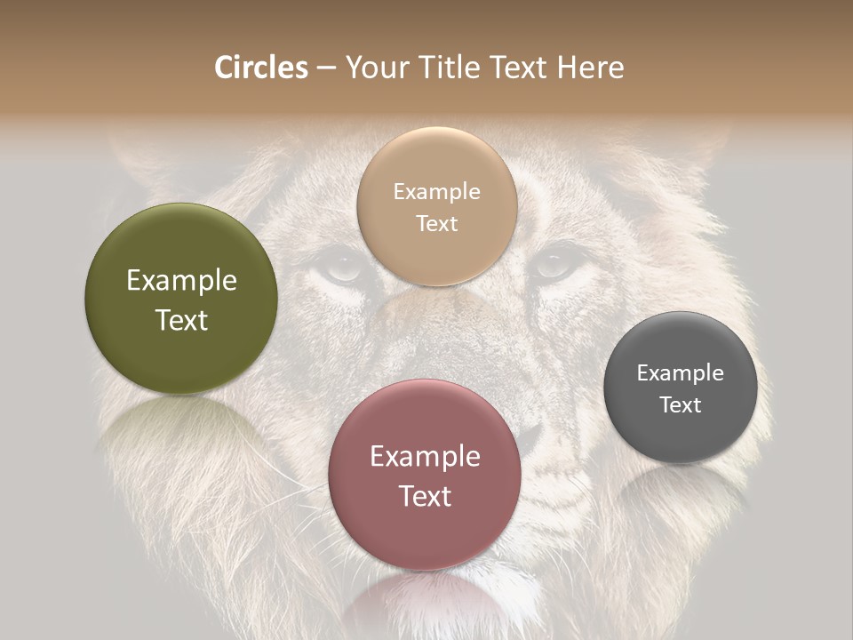 Indian Portrait Asian PowerPoint Template