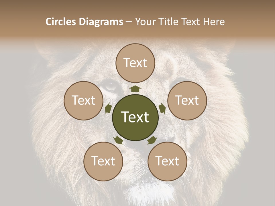 Indian Portrait Asian PowerPoint Template