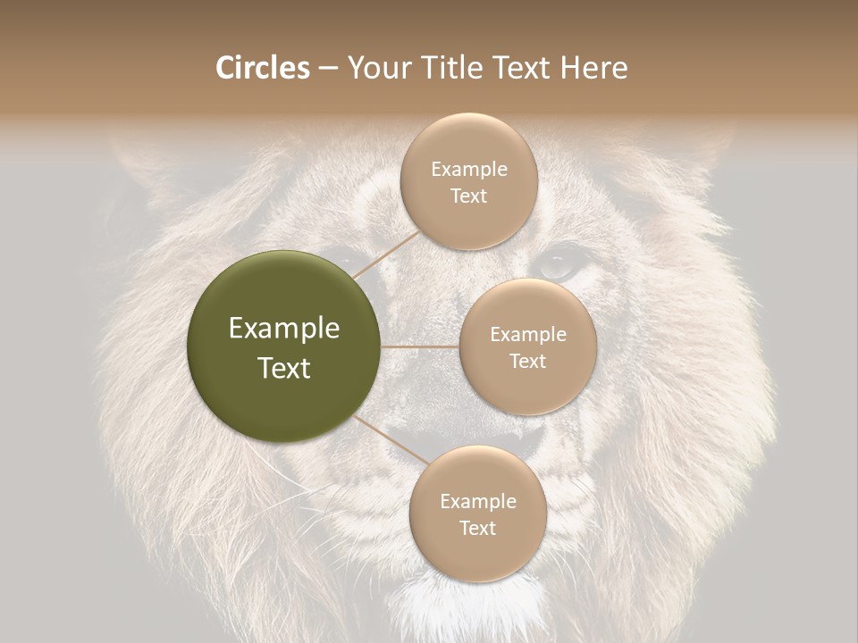 Indian Portrait Asian PowerPoint Template