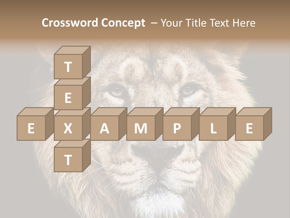 Indian Portrait Asian PowerPoint Template