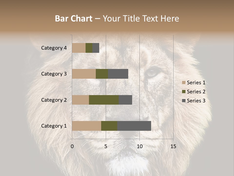 Indian Portrait Asian PowerPoint Template