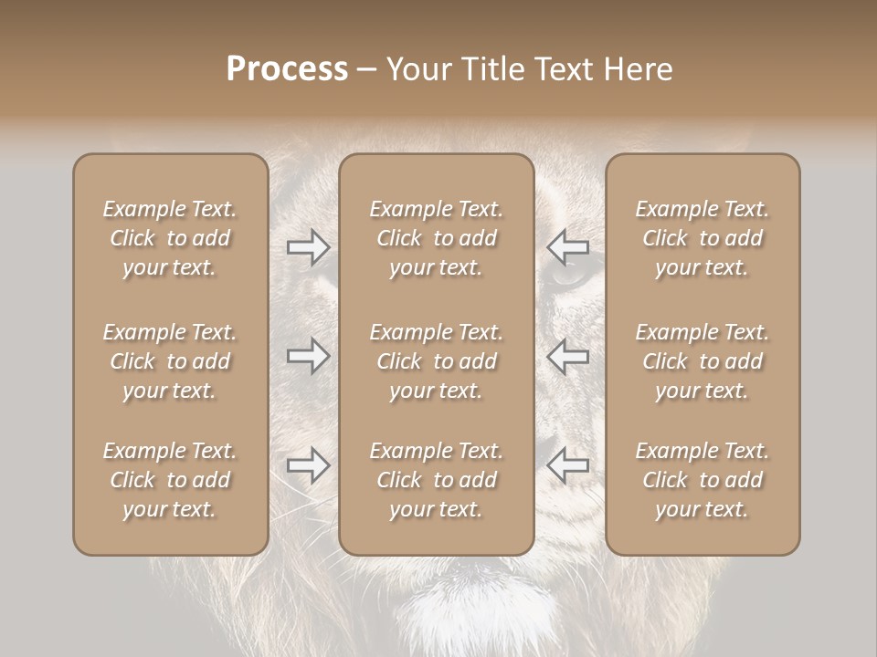 Indian Portrait Asian PowerPoint Template