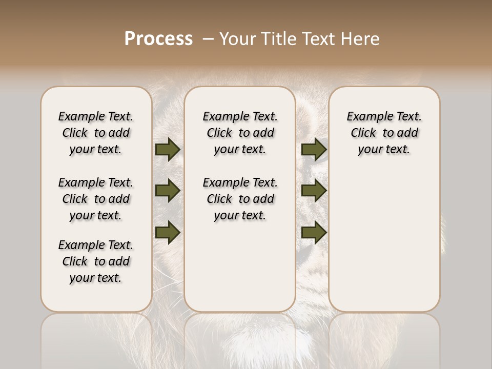Indian Portrait Asian PowerPoint Template