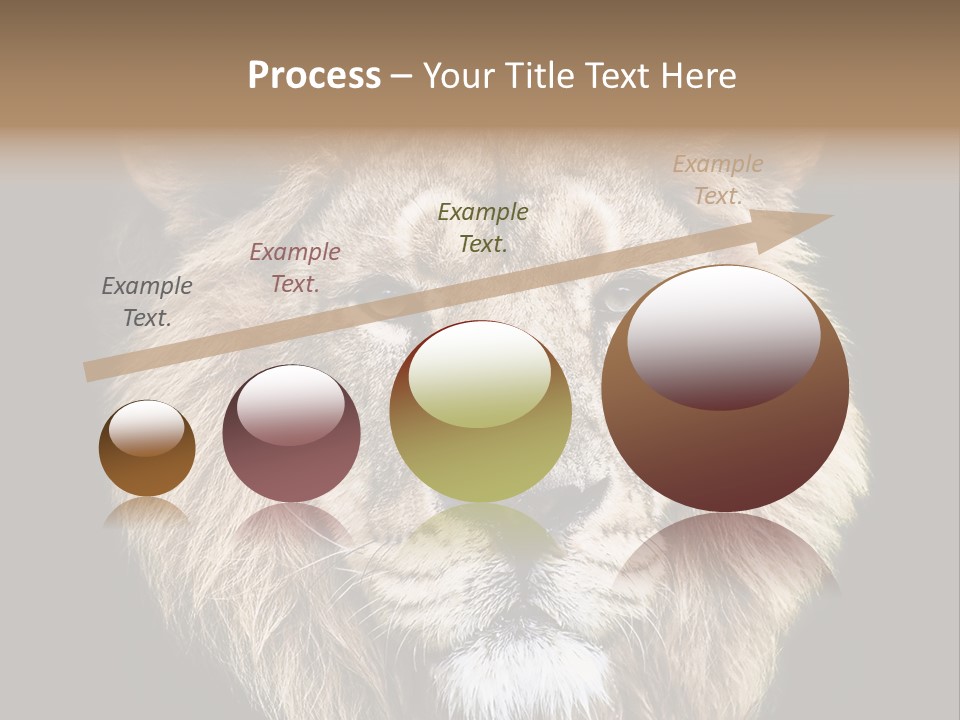 Indian Portrait Asian PowerPoint Template