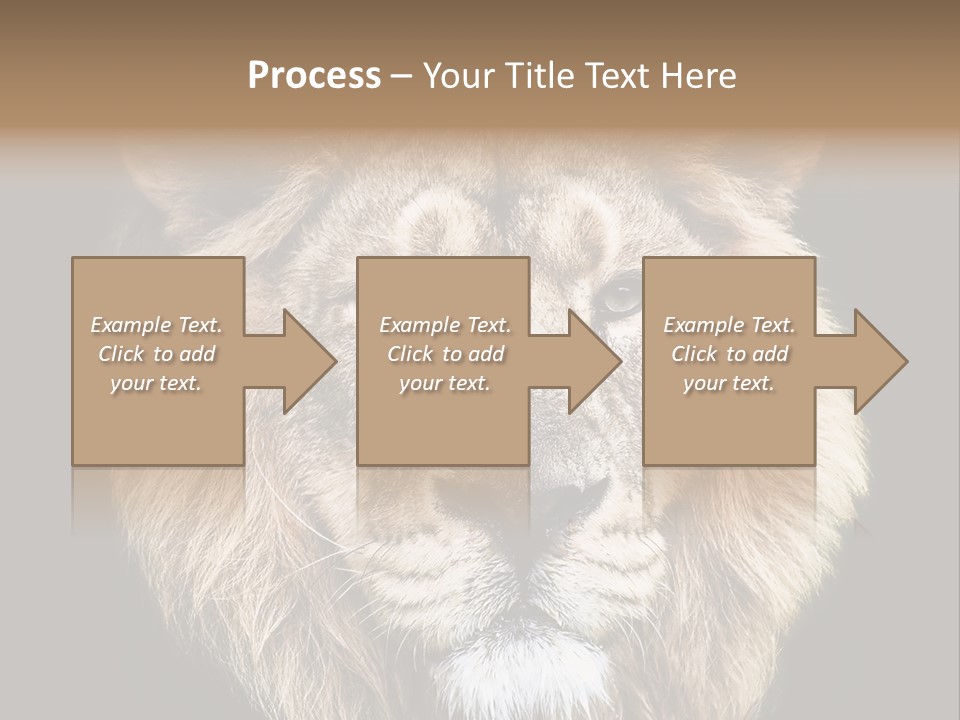 Indian Portrait Asian PowerPoint Template
