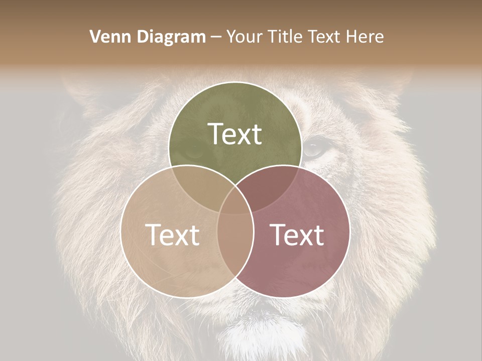 Indian Portrait Asian PowerPoint Template